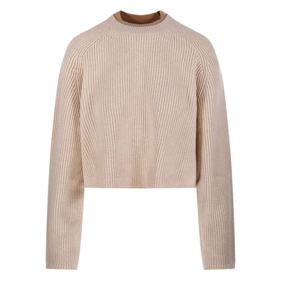 Max Mara Women Crew Neck Sweater In Cashmere Wool